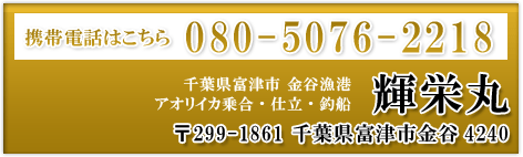 アオリイカ乗合 仕立 釣船 内房金谷 輝栄丸 公式